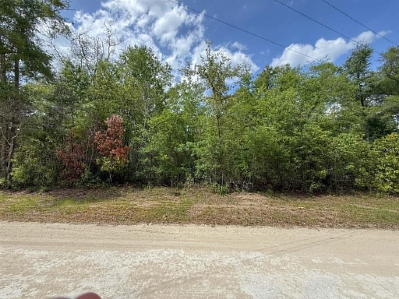 Details for Tbd 282nd Terrace, BRANFORD, FL 32008