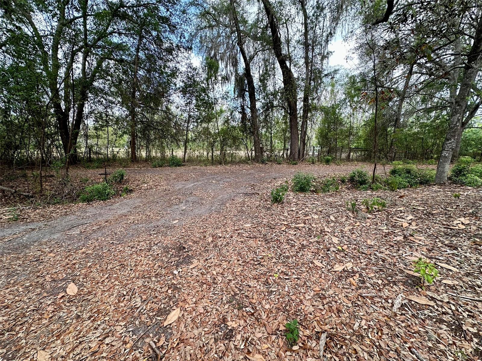 Image 4 of 34 For 13647 141st Drive