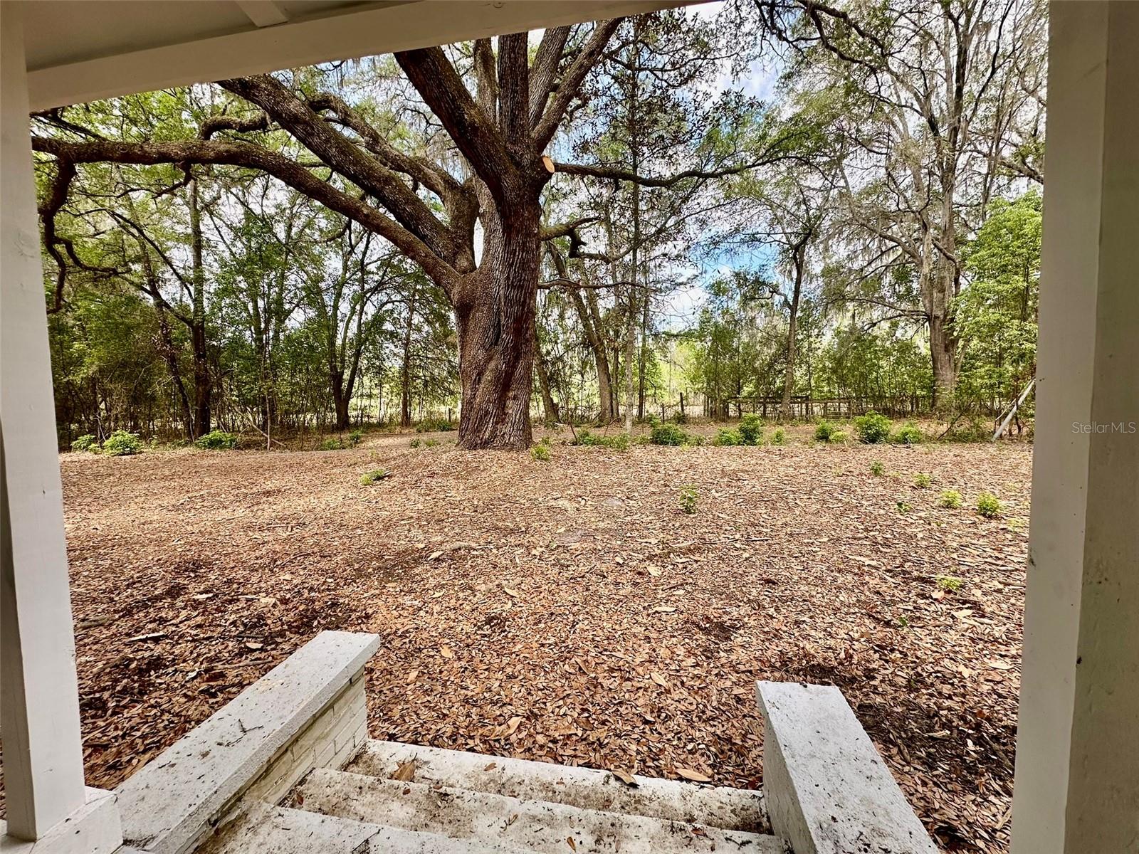 Image 6 of 34 For 13647 141st Drive