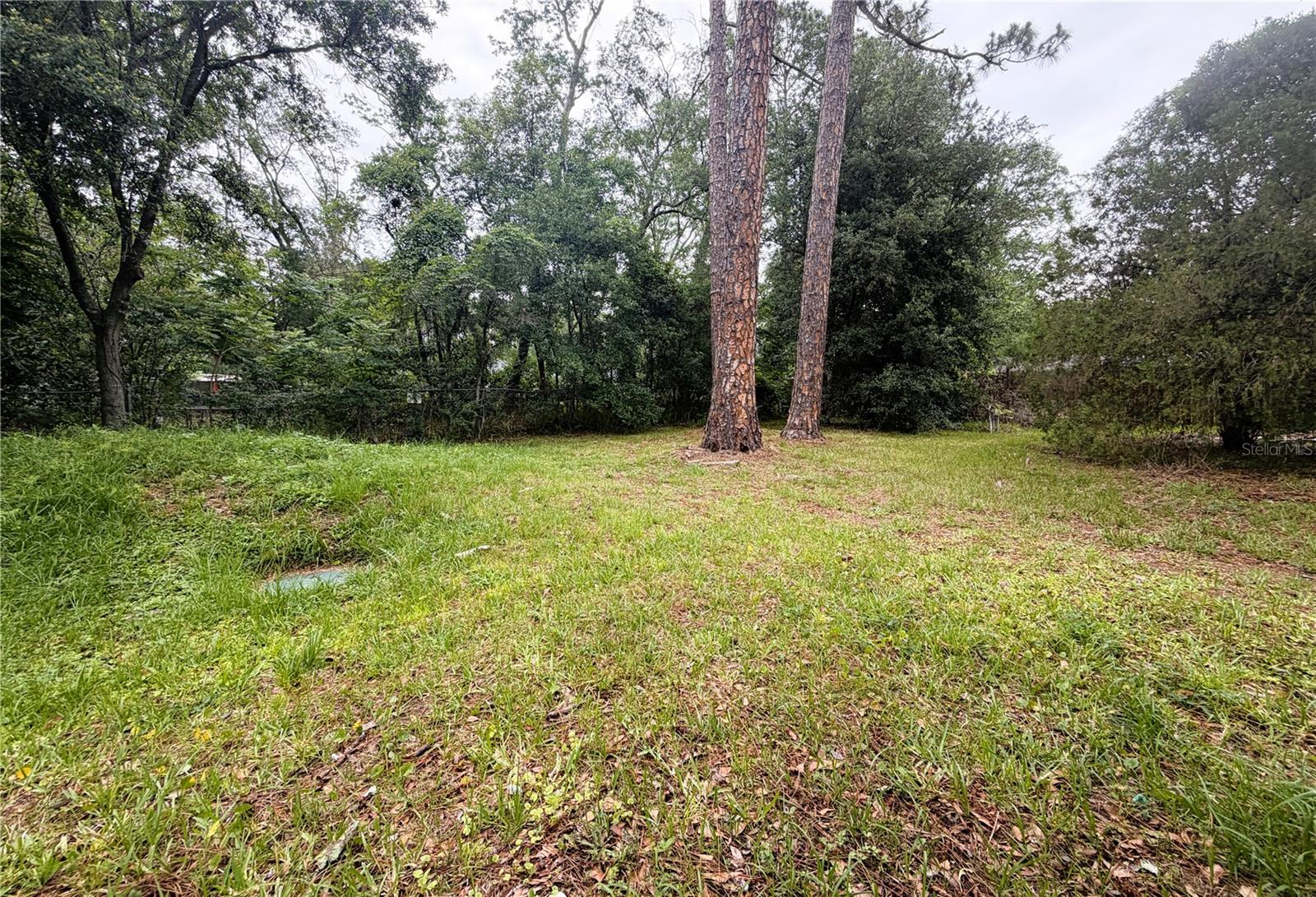 Image 45 of 47 For 8139 Vining Street