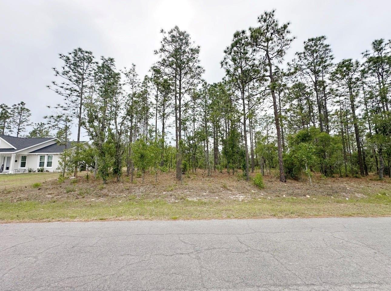 Details for Tbd 150th , Lot 10 Avenue, WILLISTON, FL 32696