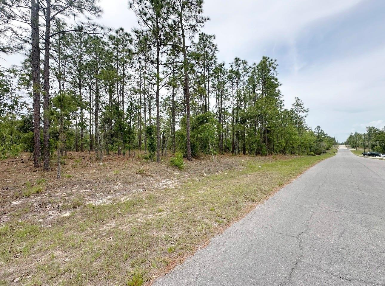 Image 2 of 4 For Tbd 150th , Lot 10 Avenue