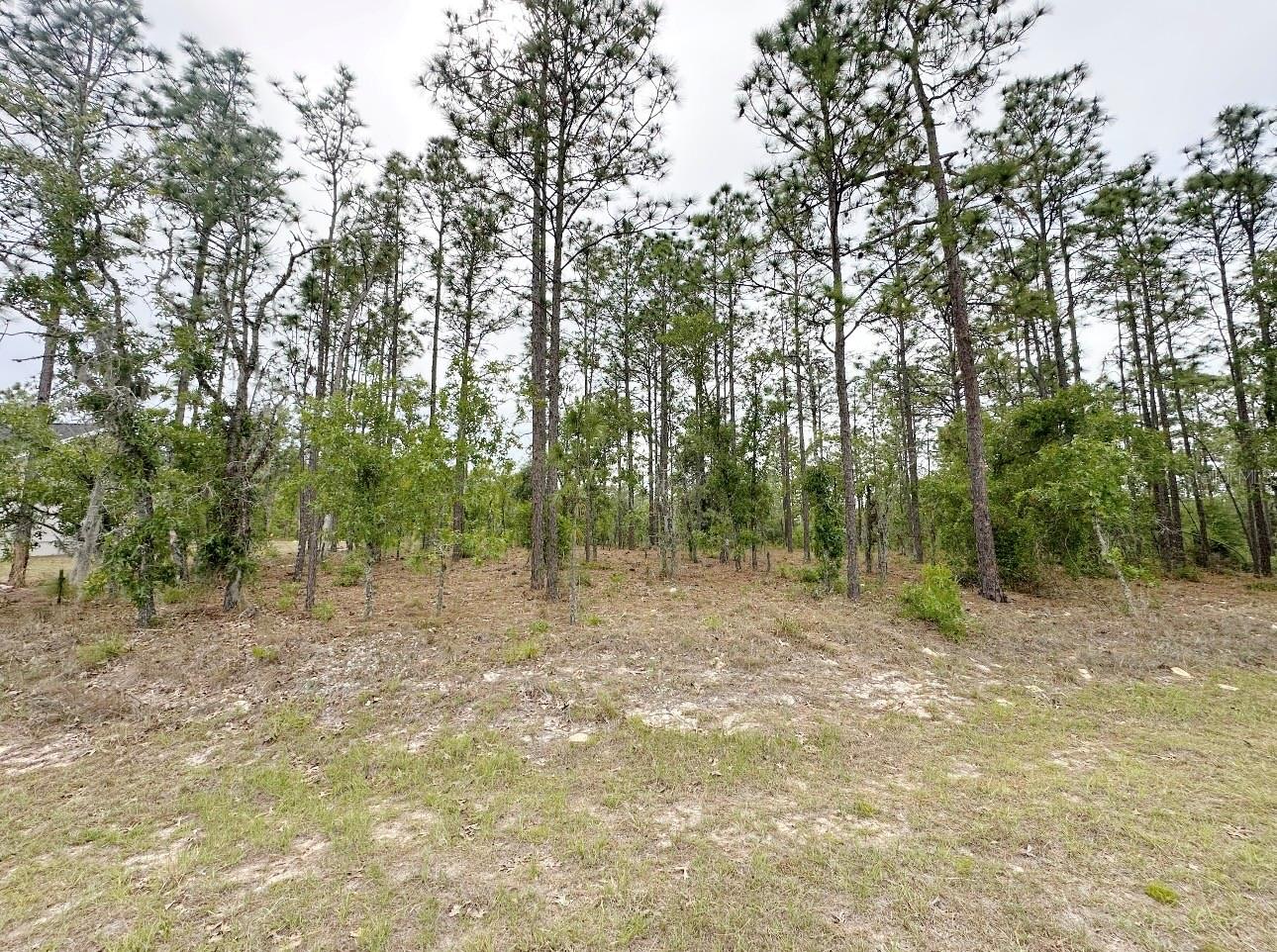 Image 3 of 4 For Tbd 150th , Lot 10 Avenue