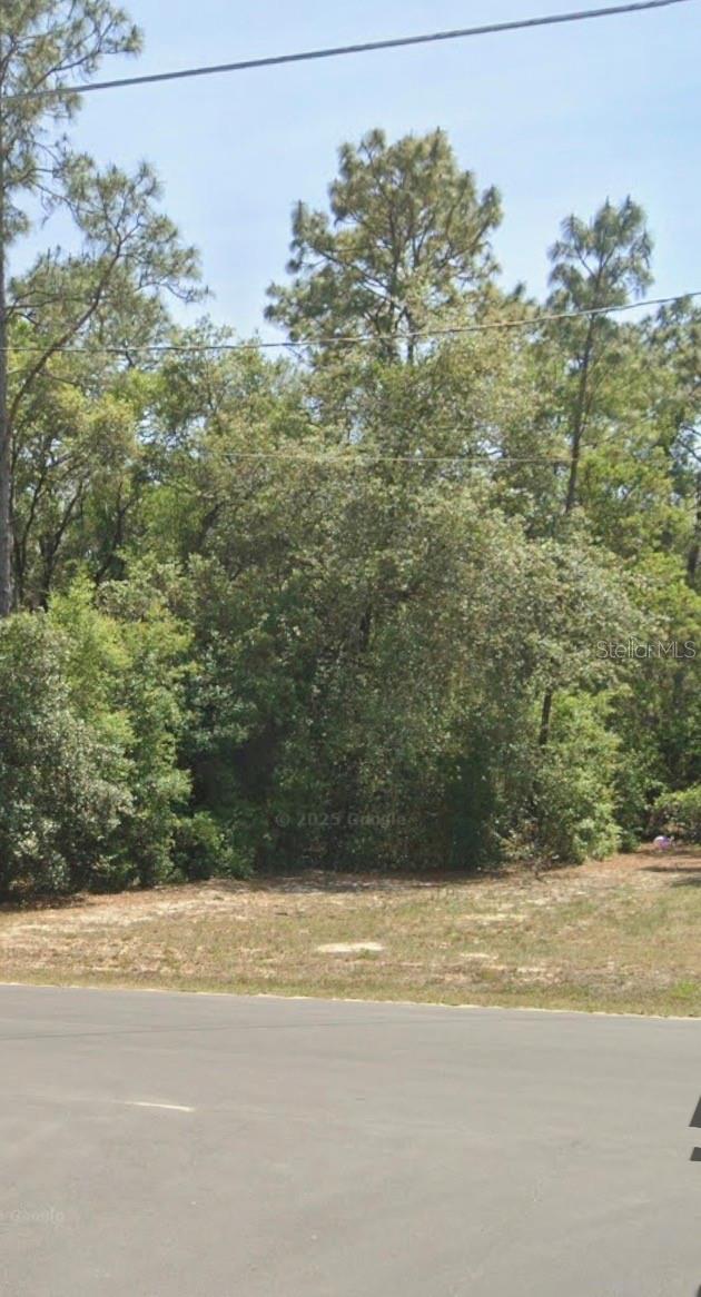Details for Tbd Locust Trak, 34472, OCALA, FL 34472