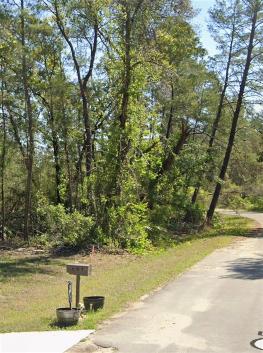 Details for Tbd Fisher Court, OCKLAWAHA, FL 32179