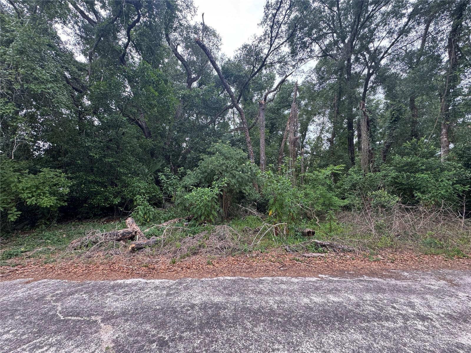 Details for 3638 Lee Drive, INVERNESS, FL 34453