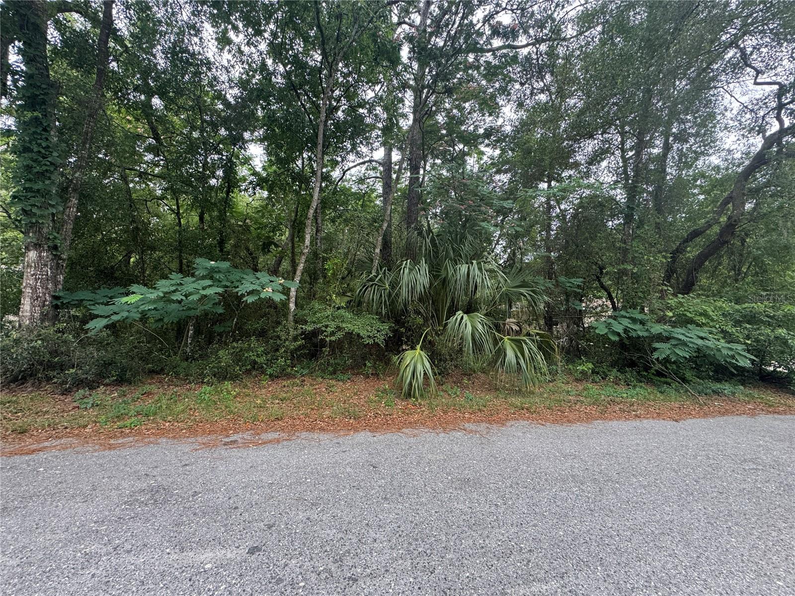 Details for 3462 Michael Street, INVERNESS, FL 34453