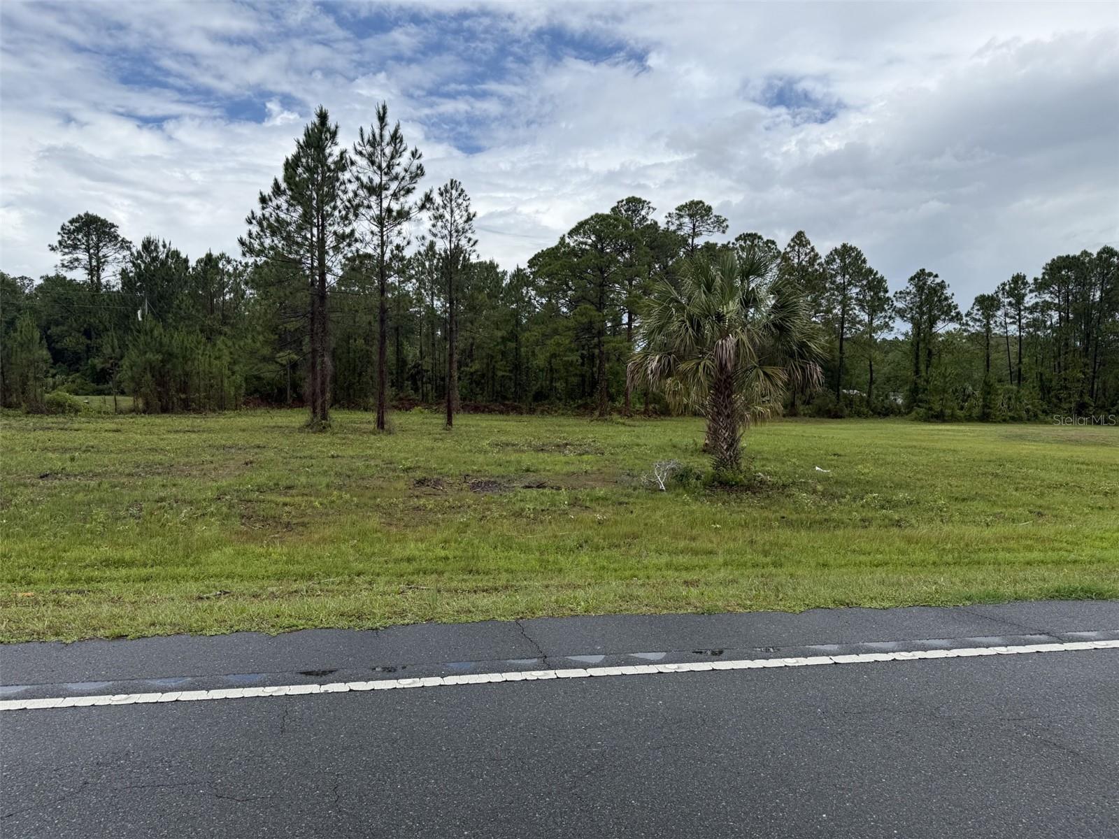 Image 4 of 4 For  Sr 24  