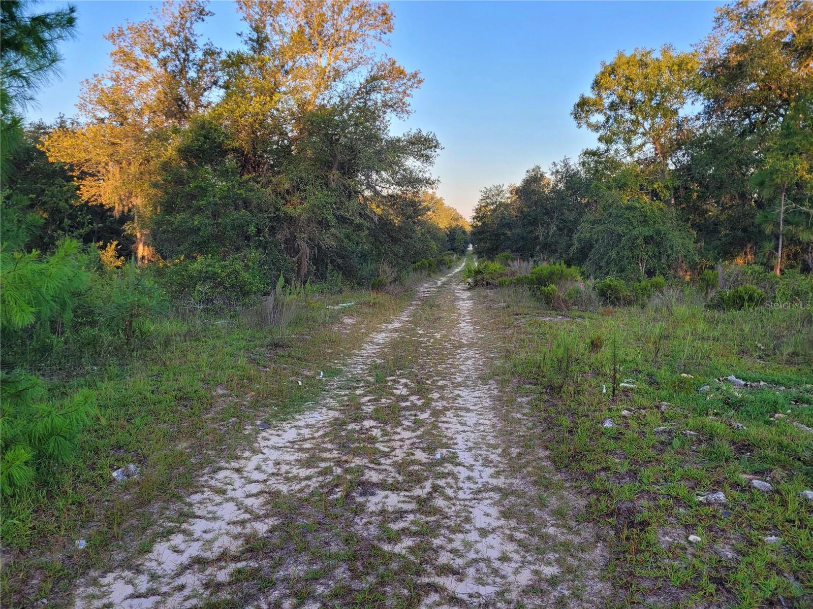 Details for  61st Lane , WILLISTON, FL 32696