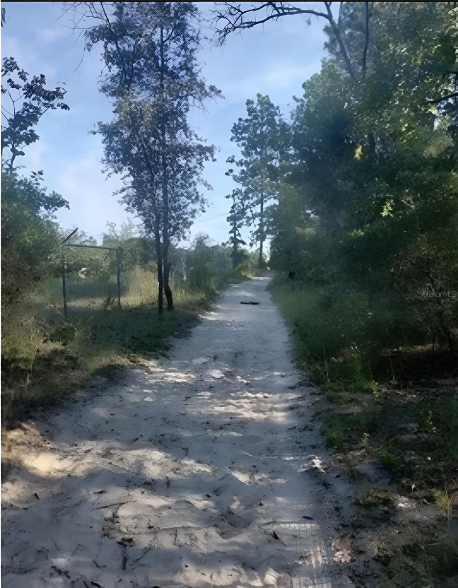 Details for  60 Street , MORRISTON, FL 32668