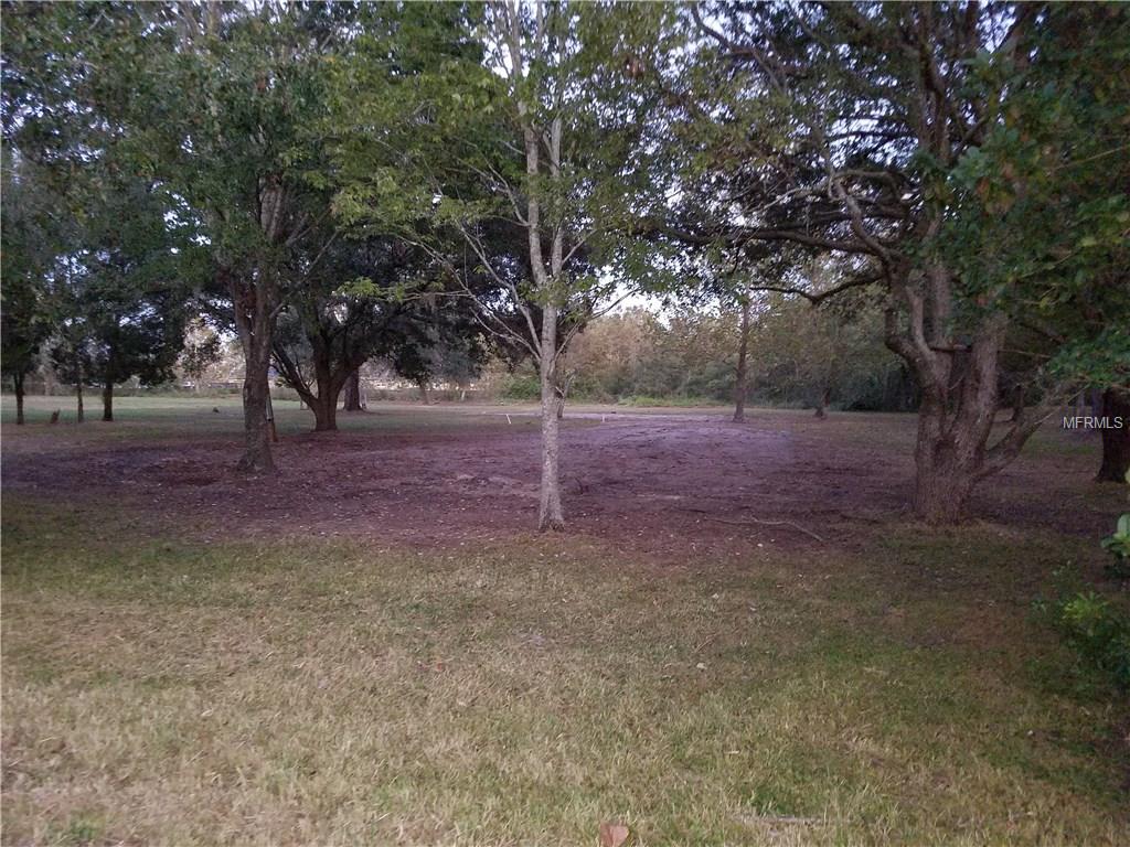 Listing photo id 3 for 7852 Boyette Road