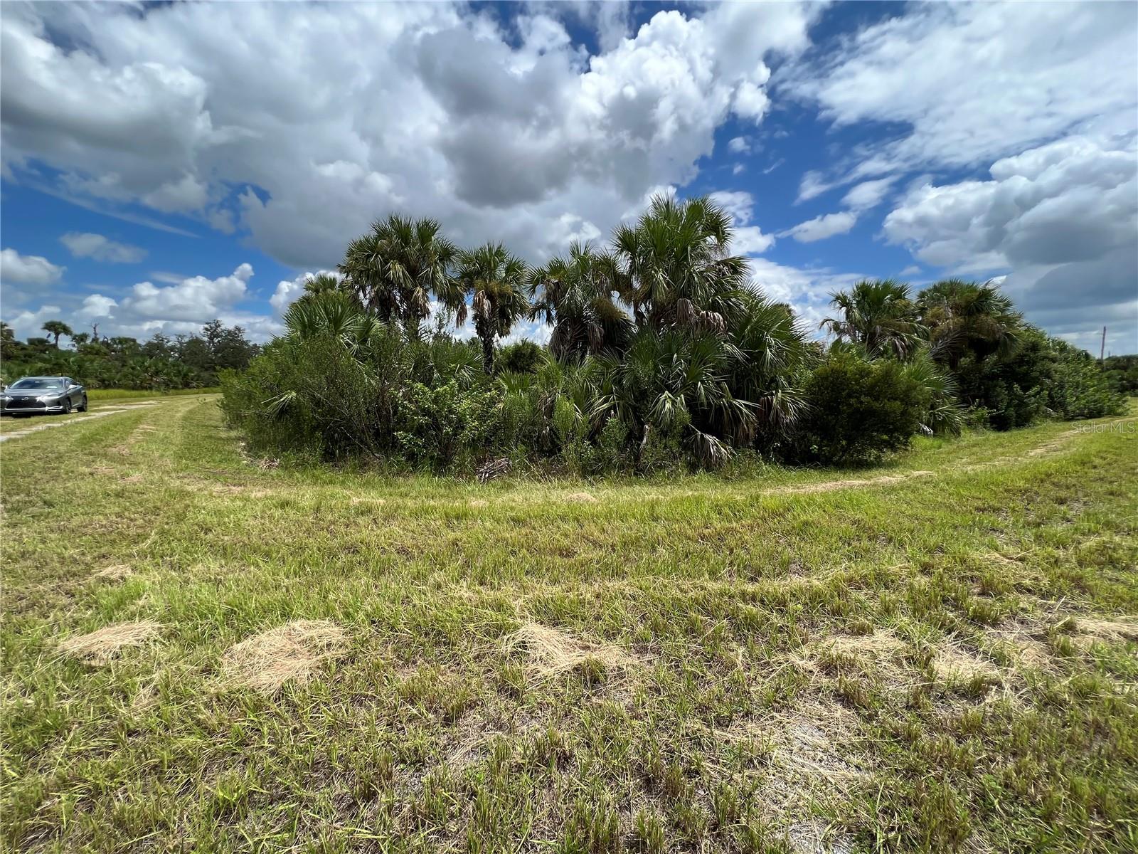Details for 0 Deer Pl  , NORTH PORT, FL 34288