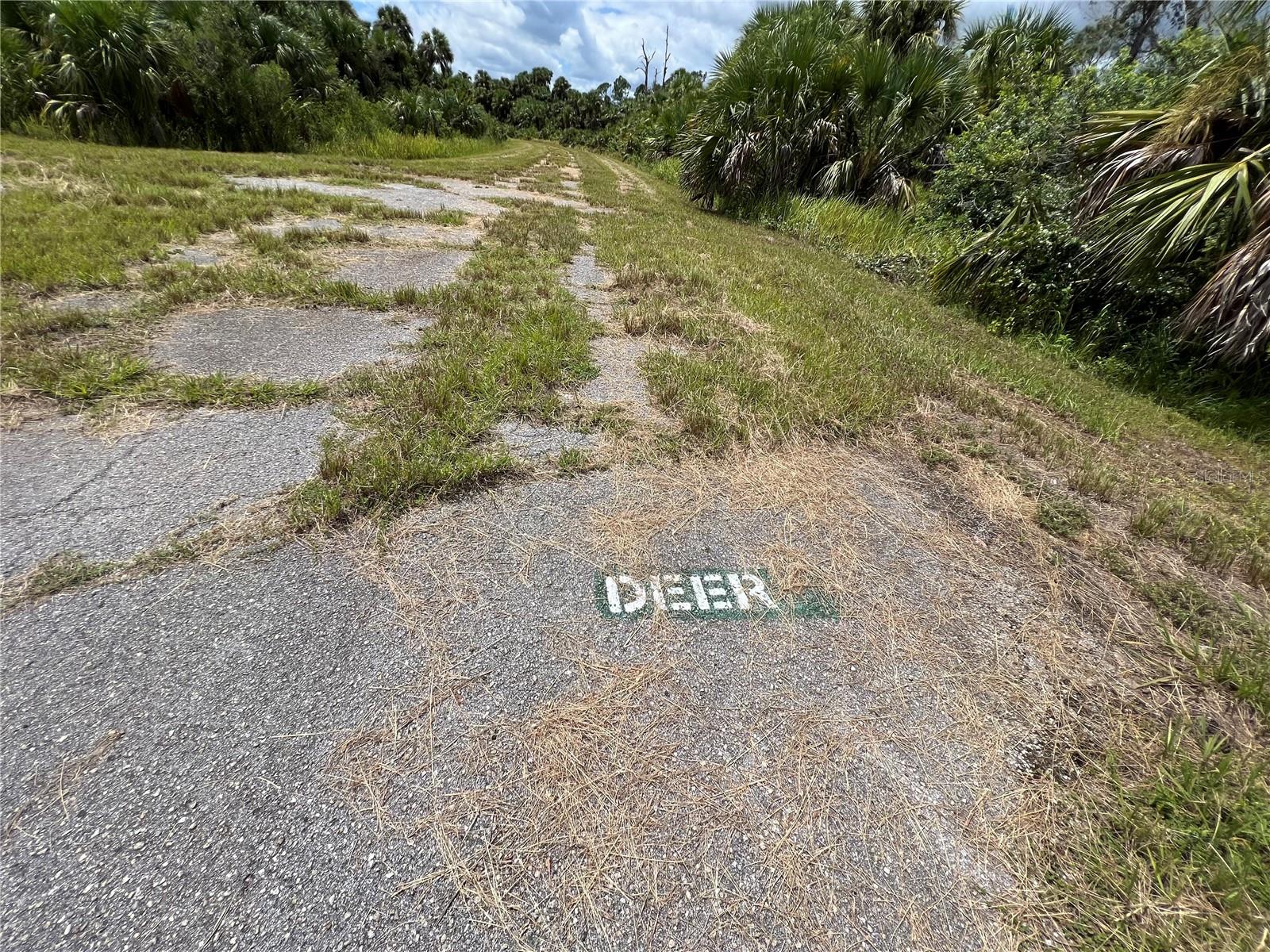 Image 2 of 15 For 0 Deer Pl  
