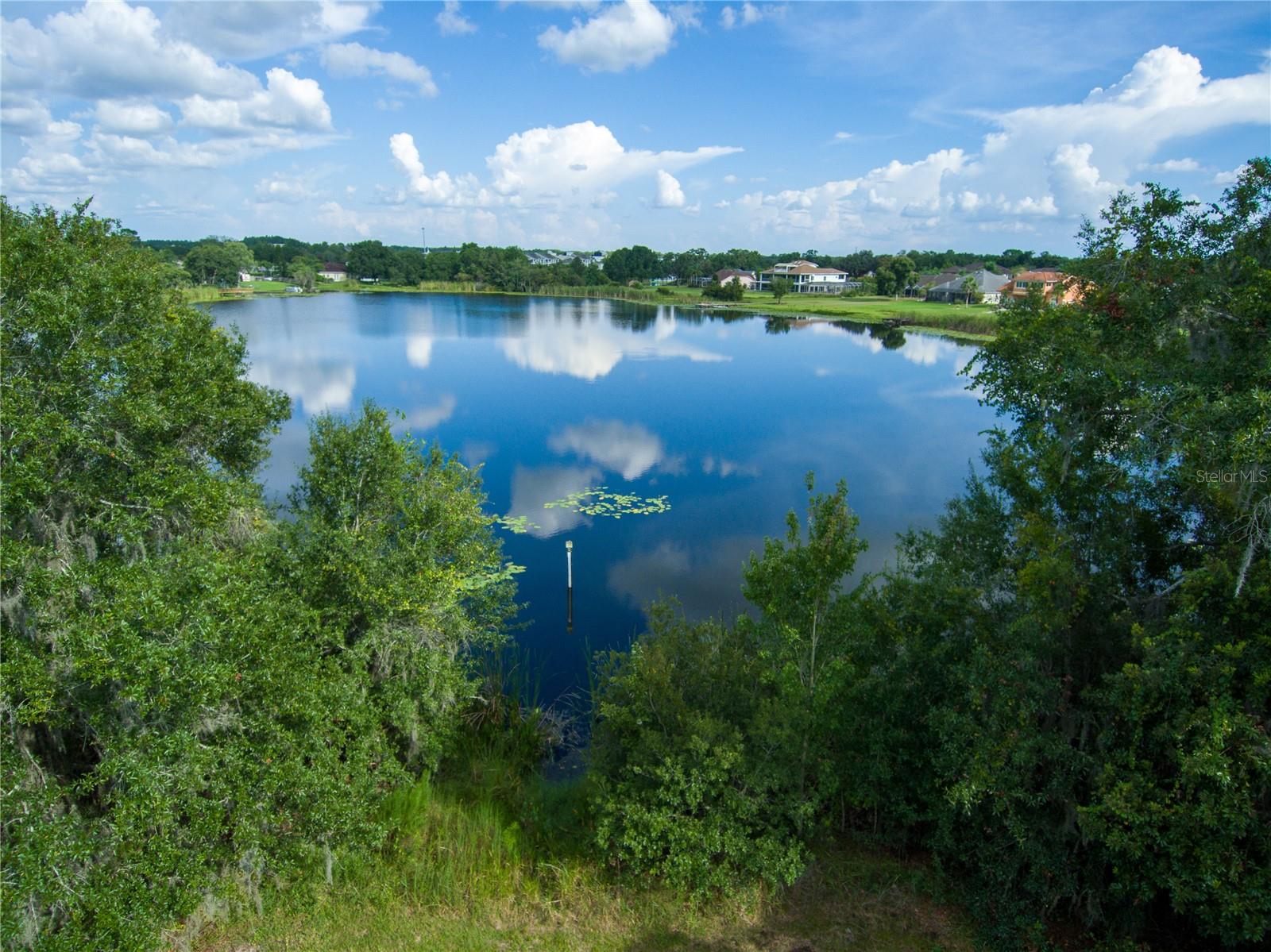 Details for Carson Drive, LAND O LAKES, FL 34639