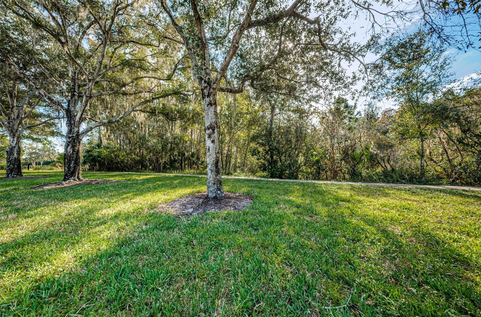 Listing photo id 9 for 4390 Tarpon Lake Boulevard