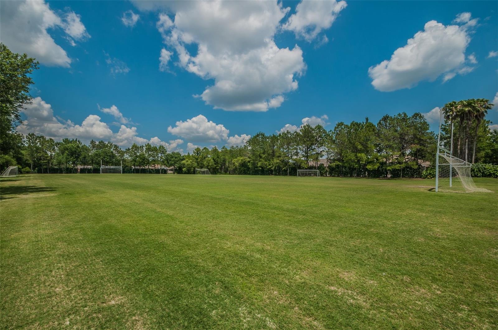 Listing photo id 25 for 4390 Tarpon Lake Boulevard