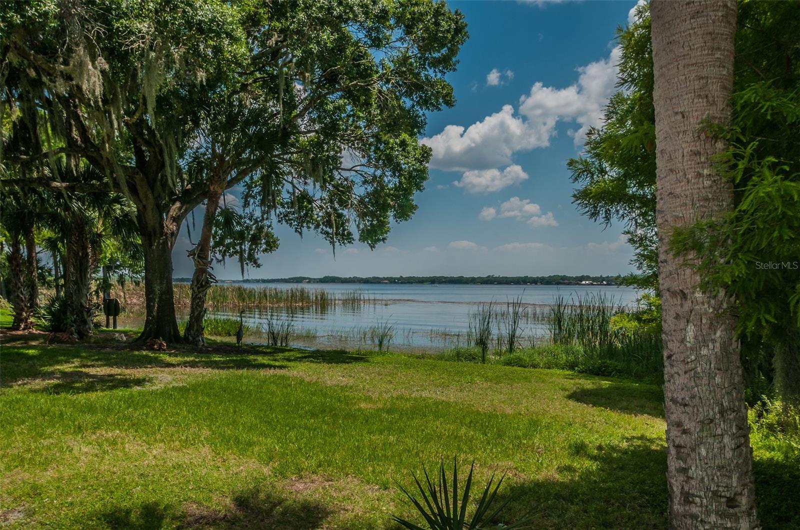 Listing photo id 36 for 4390 Tarpon Lake Boulevard