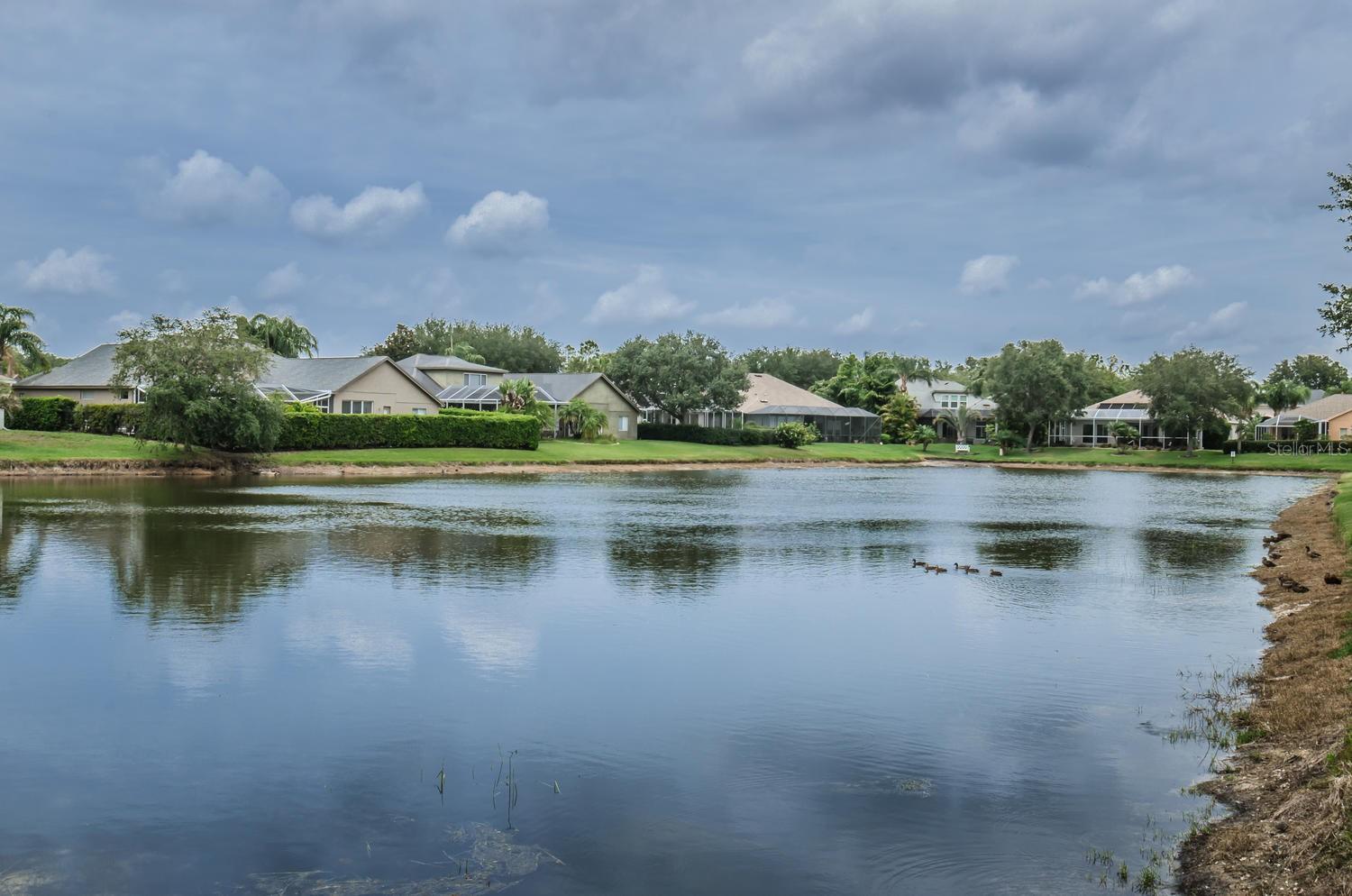 Listing photo id 2 for 4390 Tarpon Lake Boulevard