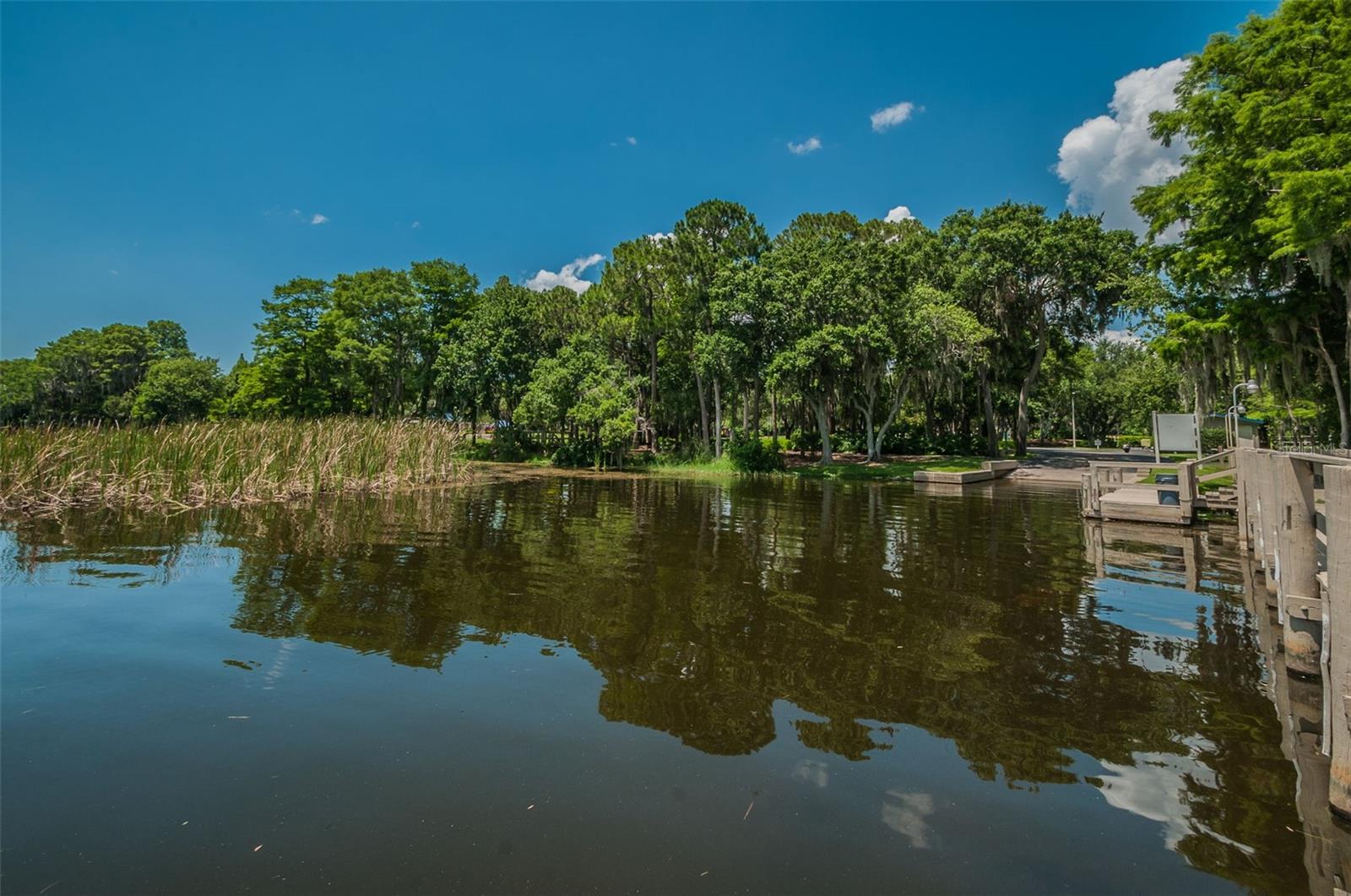 Listing photo id 51 for 4390 Tarpon Lake Boulevard