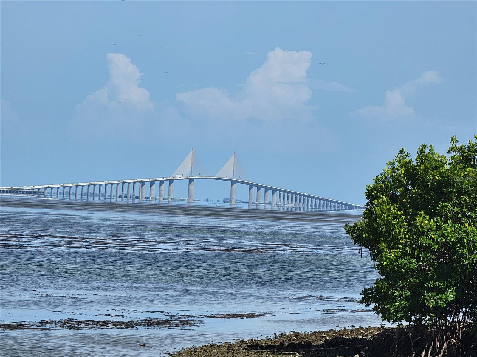 Image 44 of 47 For 1515 Pinellas Bayway S 38
