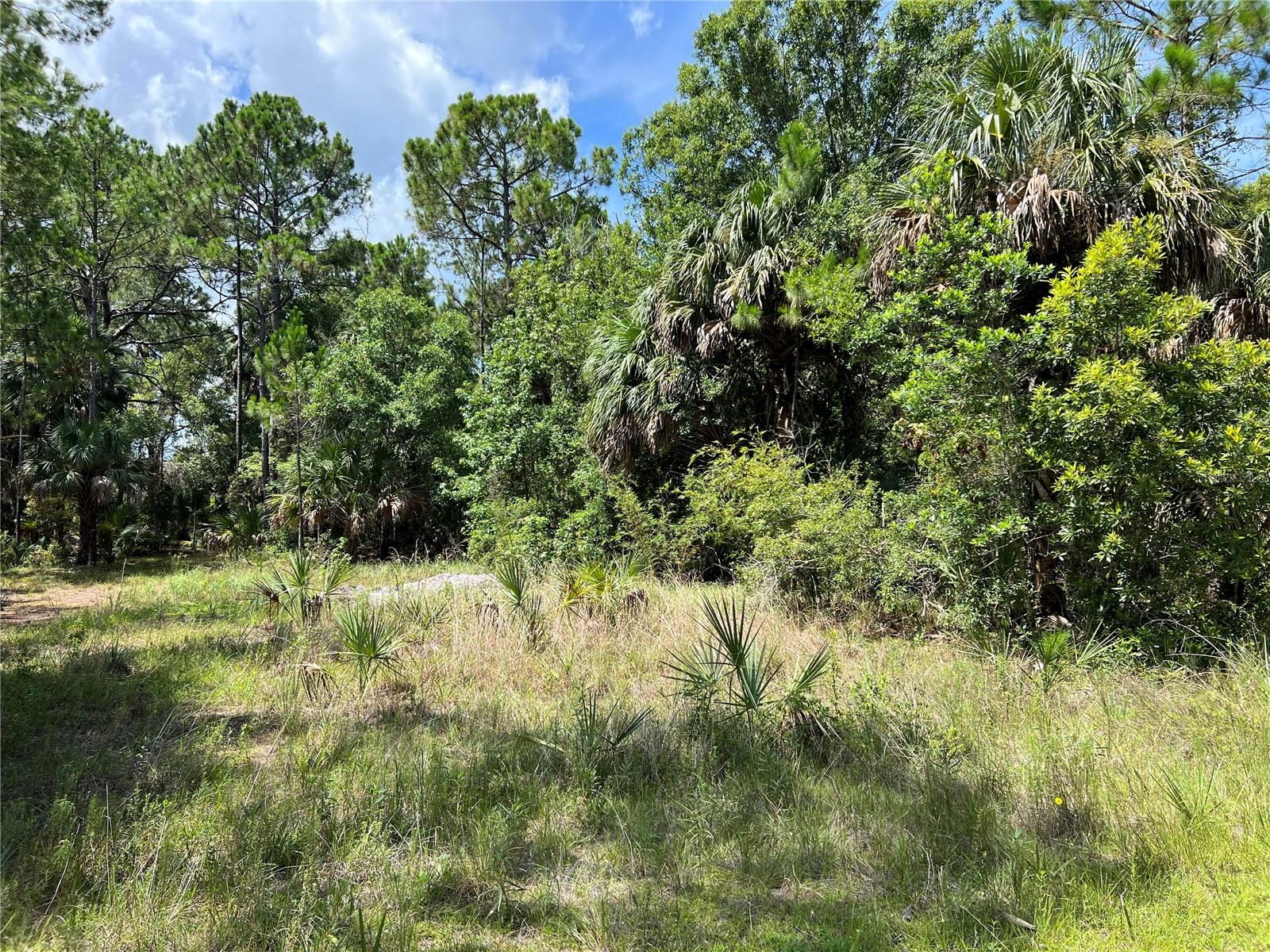 Details for Tbd Girard Road, HUDSON, FL 34679