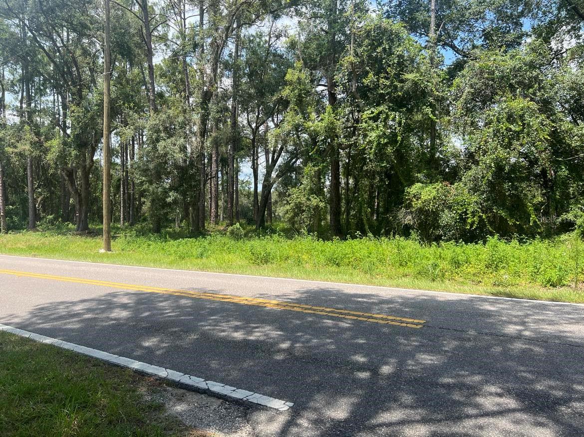 Details for Lot #16 Richardson Boulevard, WEBSTER, FL 33597