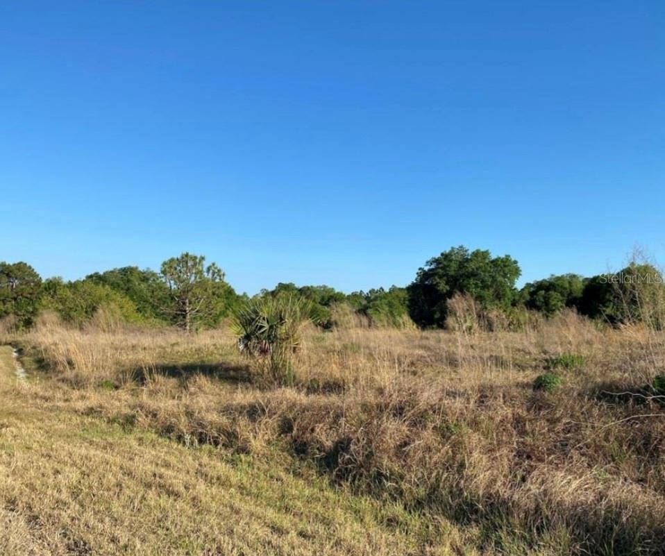 Image 6 of 8 For Grover Circle