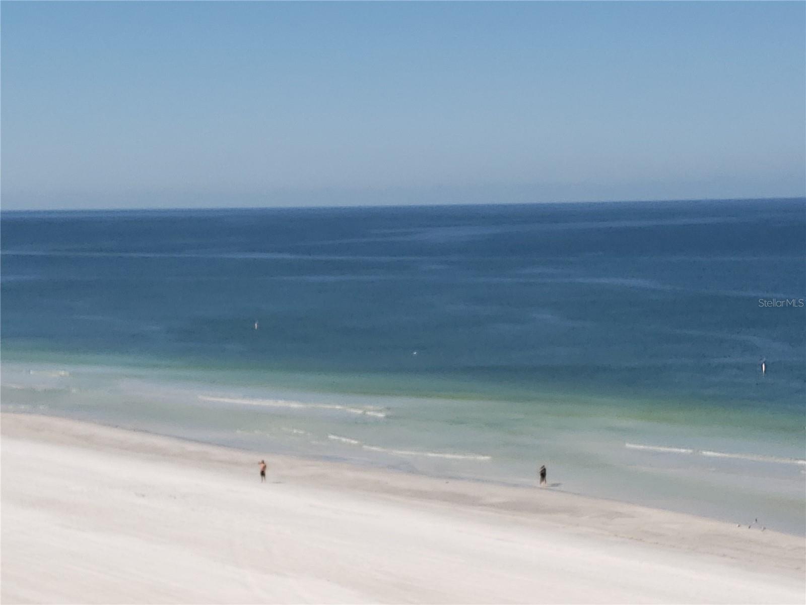 Image 33 of 40 For 1460 Gulf Boulevard 1102