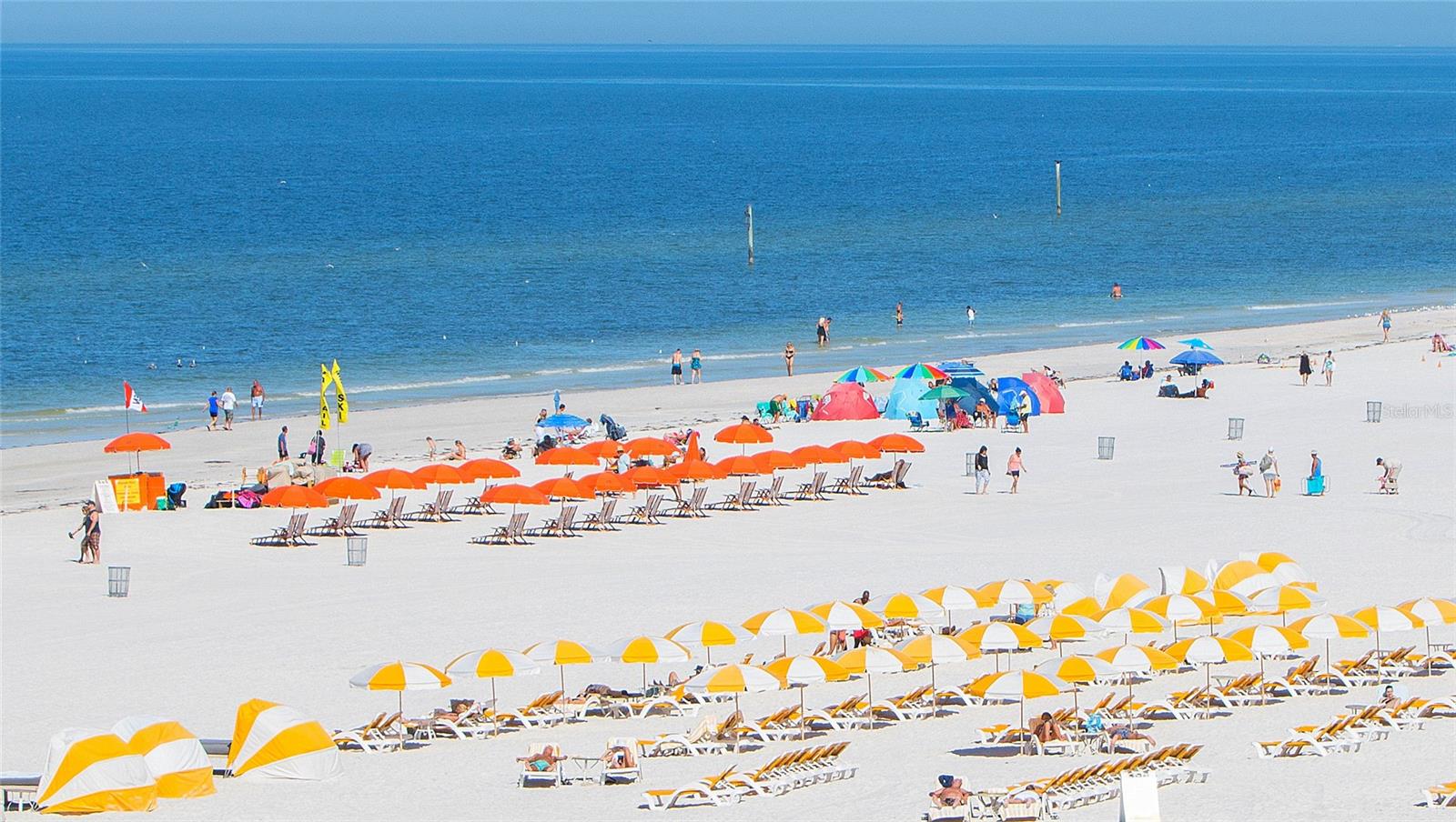 Image 39 of 40 For 1460 Gulf Boulevard 1102