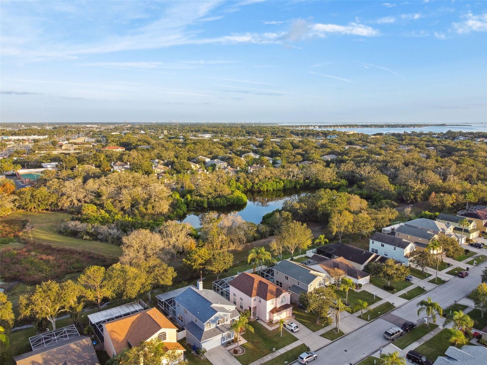 Listing photo id 57 for 1637 Gray Bark Drive