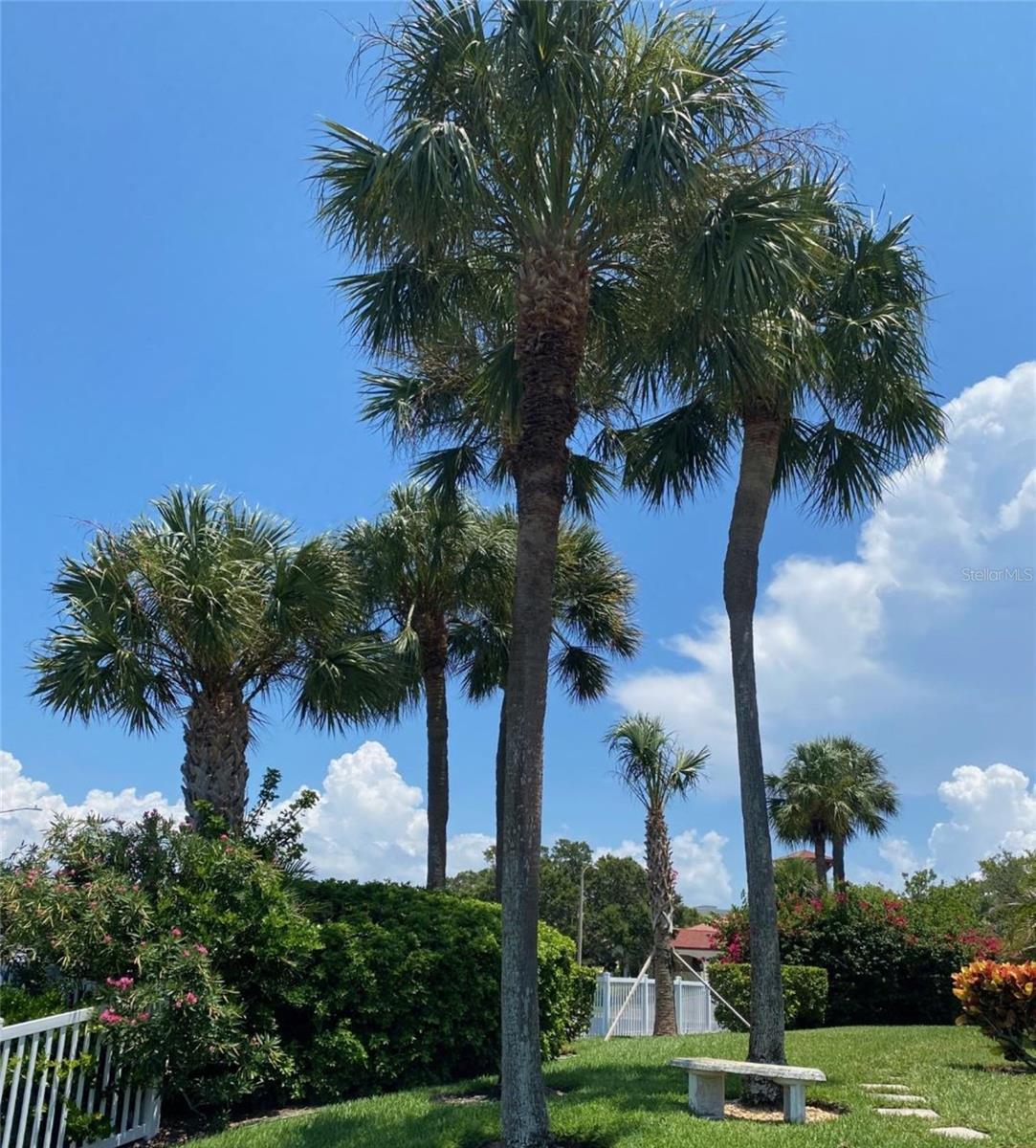 Listing photo id 30 for 240 Windward Passage 504