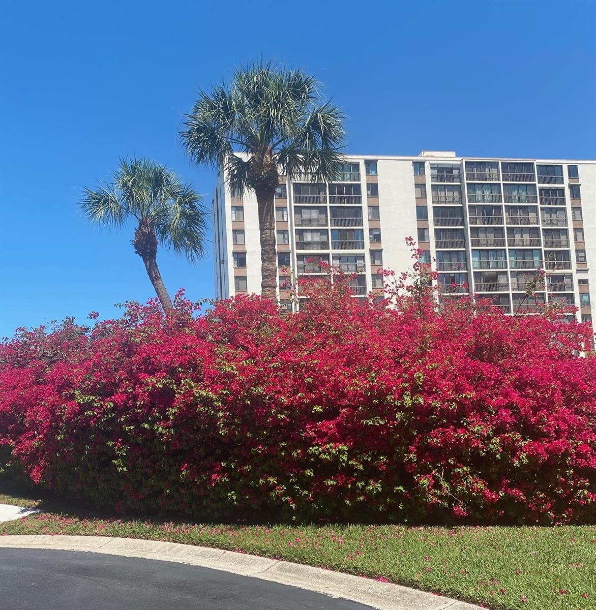 Listing photo id 31 for 240 Windward Passage 504