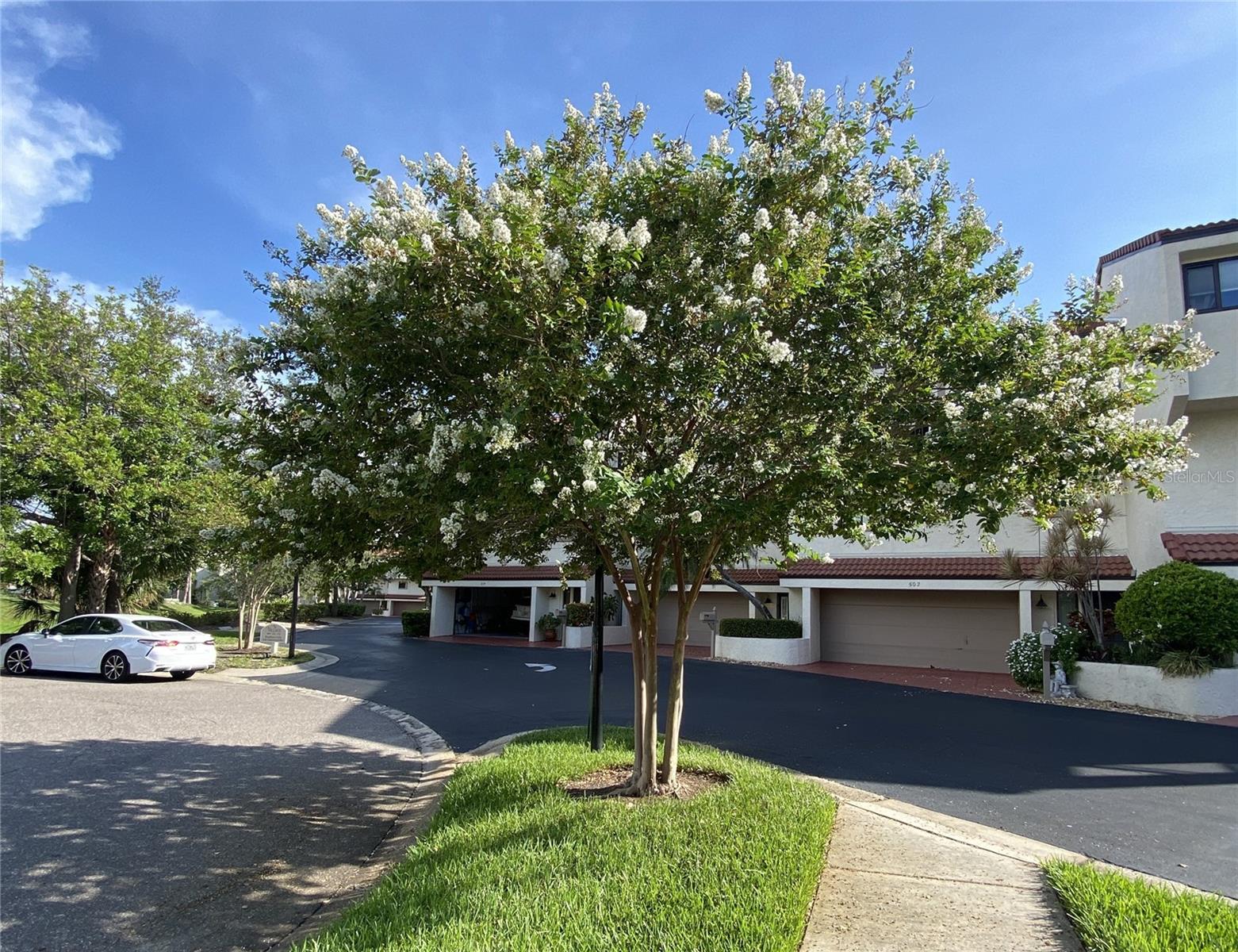 Listing photo id 2 for 240 Windward Passage 504