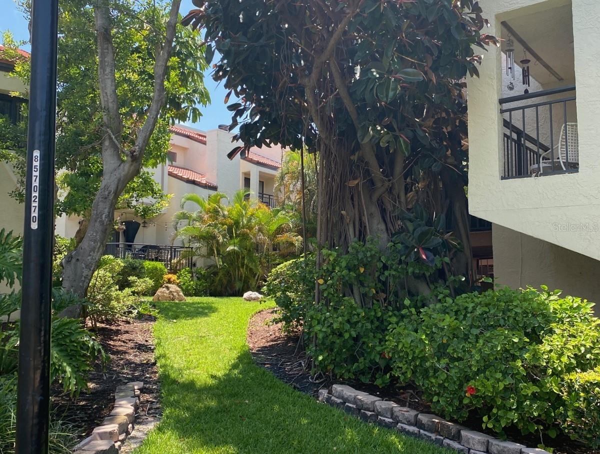 Listing photo id 6 for 240 Windward Passage 504