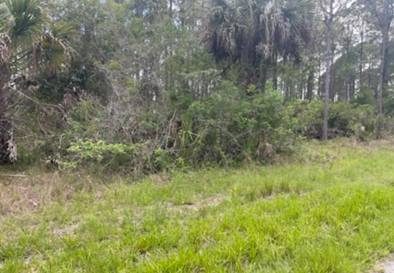 Image 12 of 12 For 0954126609 Averette Avenue