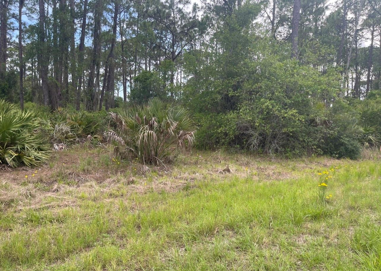 Image 8 of 12 For 0954126609 Averette Avenue