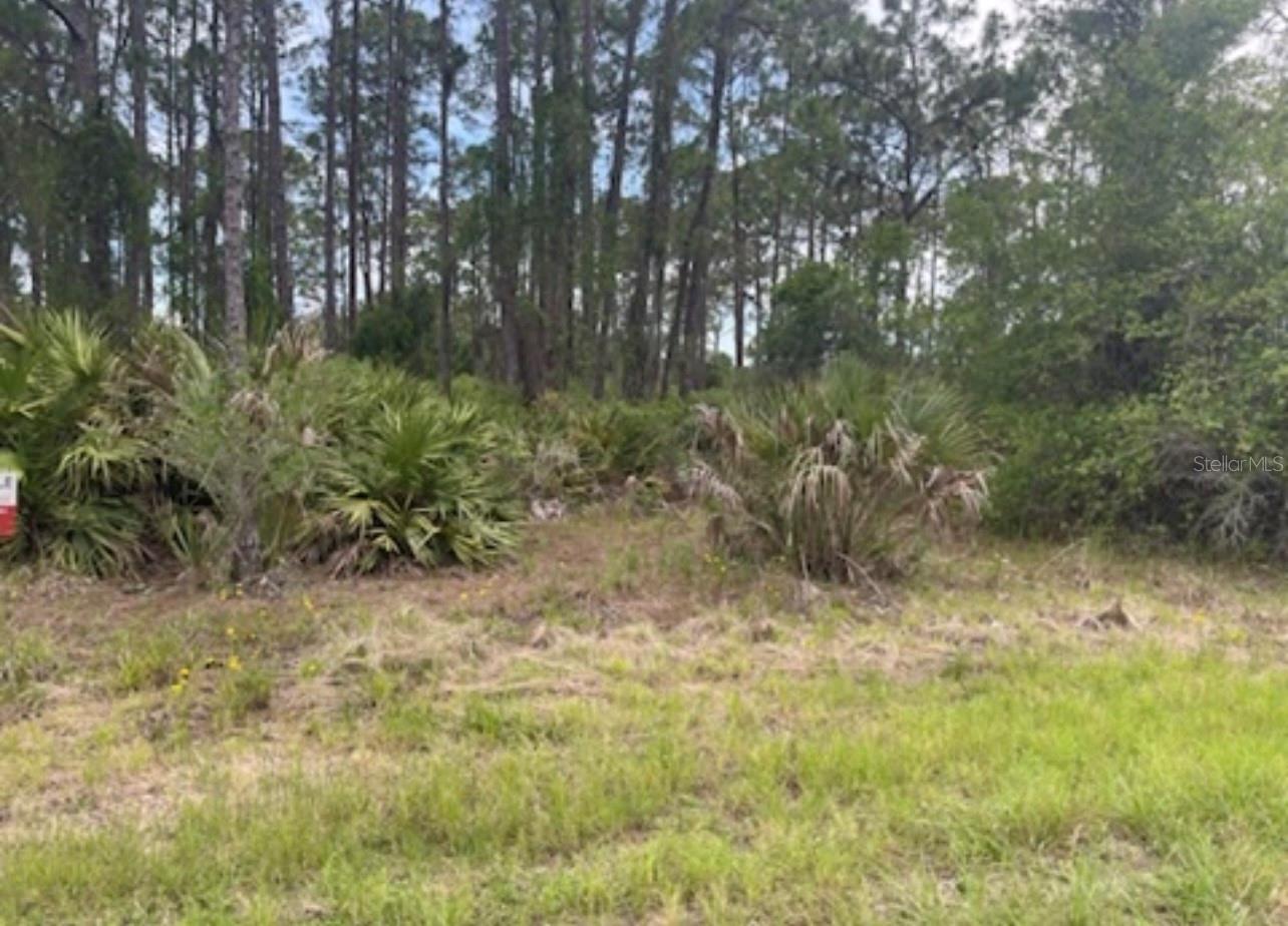 Image 9 of 12 For 0954126609 Averette Avenue