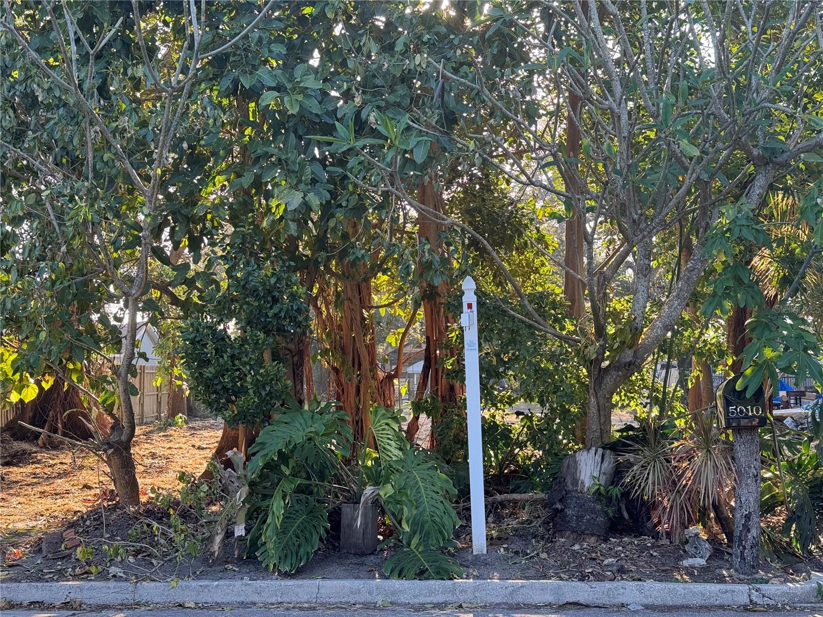 Image 8 of 8 For 5010 22nd Street N