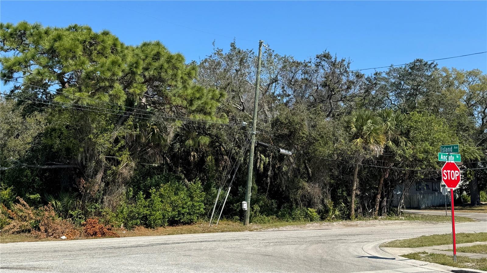 Image 3 of 9 For (lot2) 160 Anclote Road