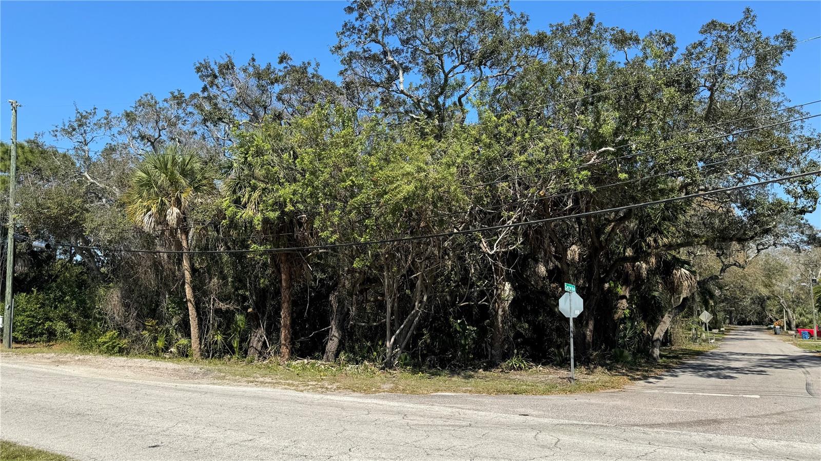 Image 6 of 9 For (lot2) 160 Anclote Road