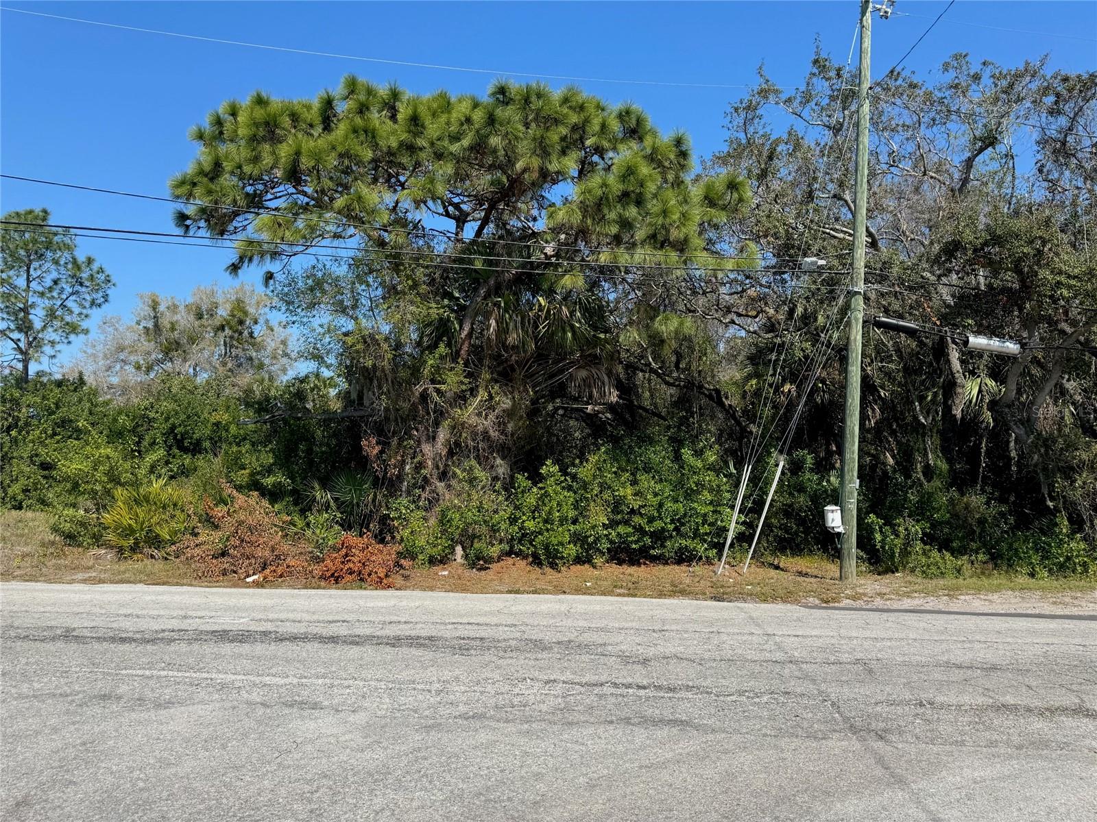 Image 9 of 9 For (lot2) 160 Anclote Road