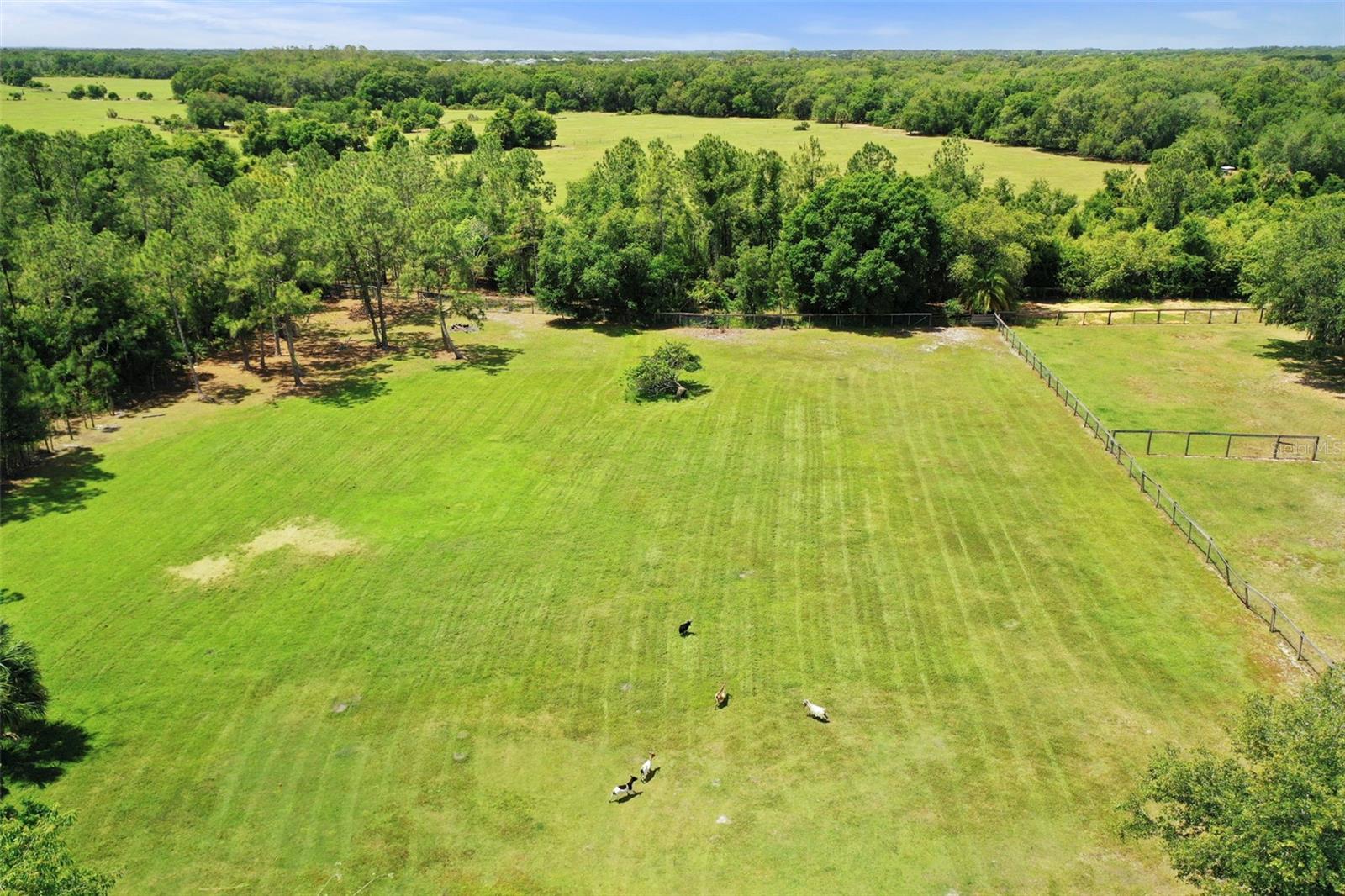 Image 88 of 97 For 15891 County Road 675