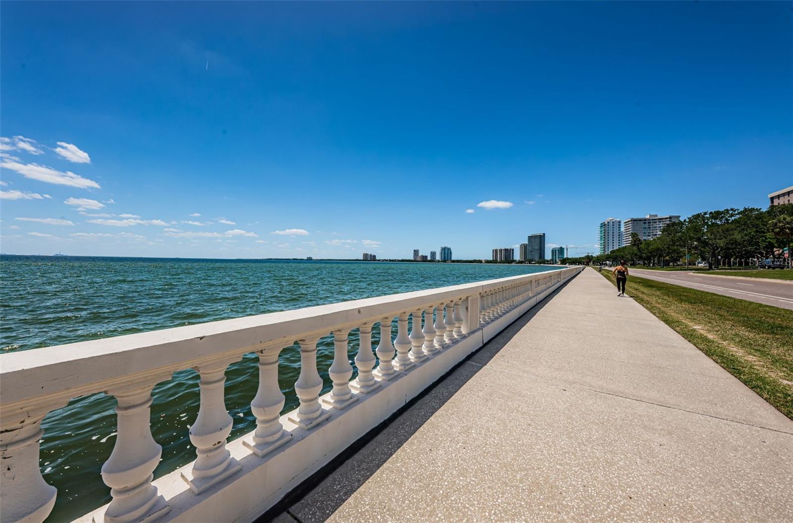 Image 36 of 53 For 2413 Bayshore Boulevard 803