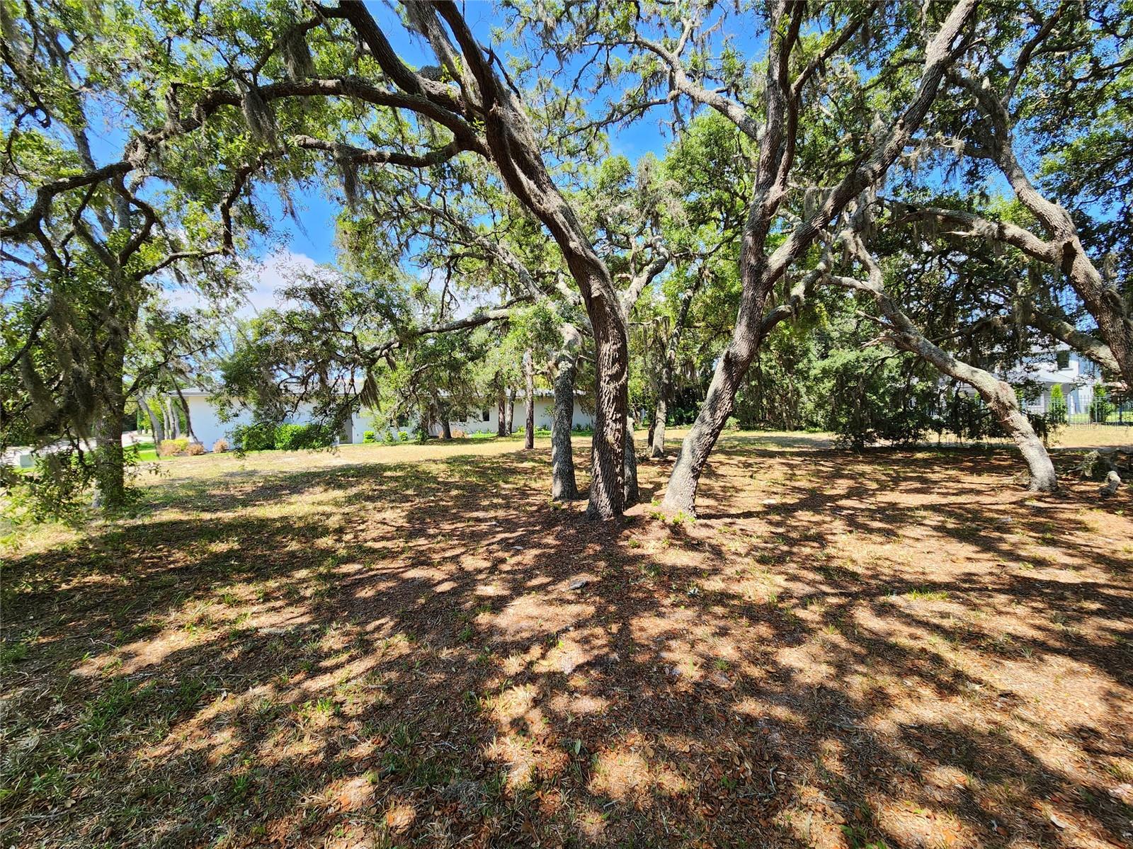 Listing photo id 11 for 1144 Bellamare Trail