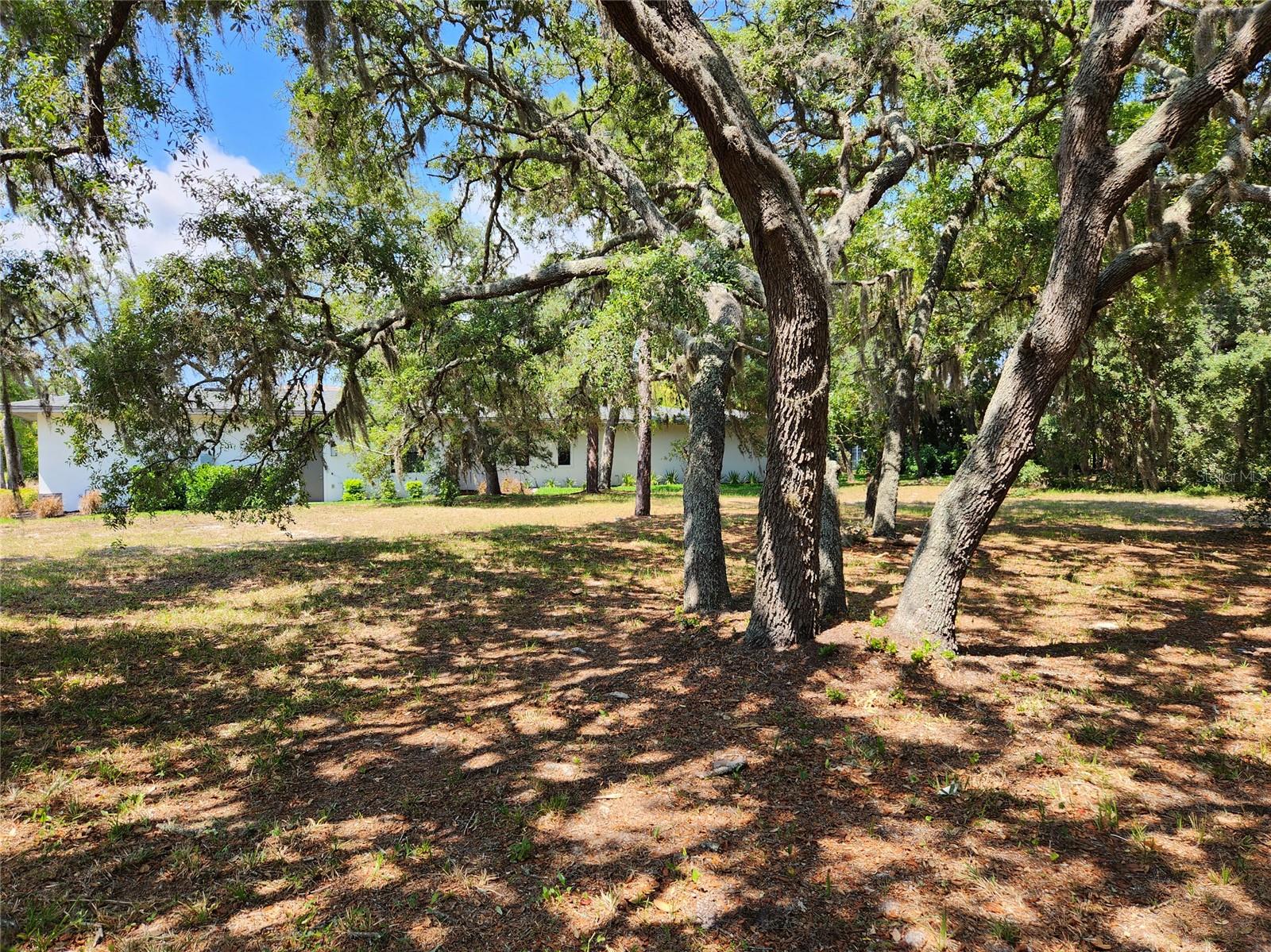 Listing photo id 12 for 1144 Bellamare Trail