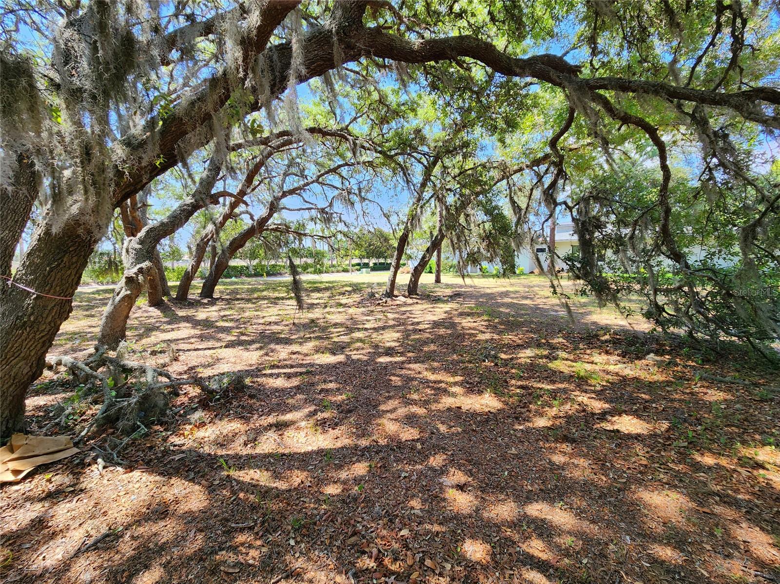 Listing photo id 6 for 1144 Bellamare Trail