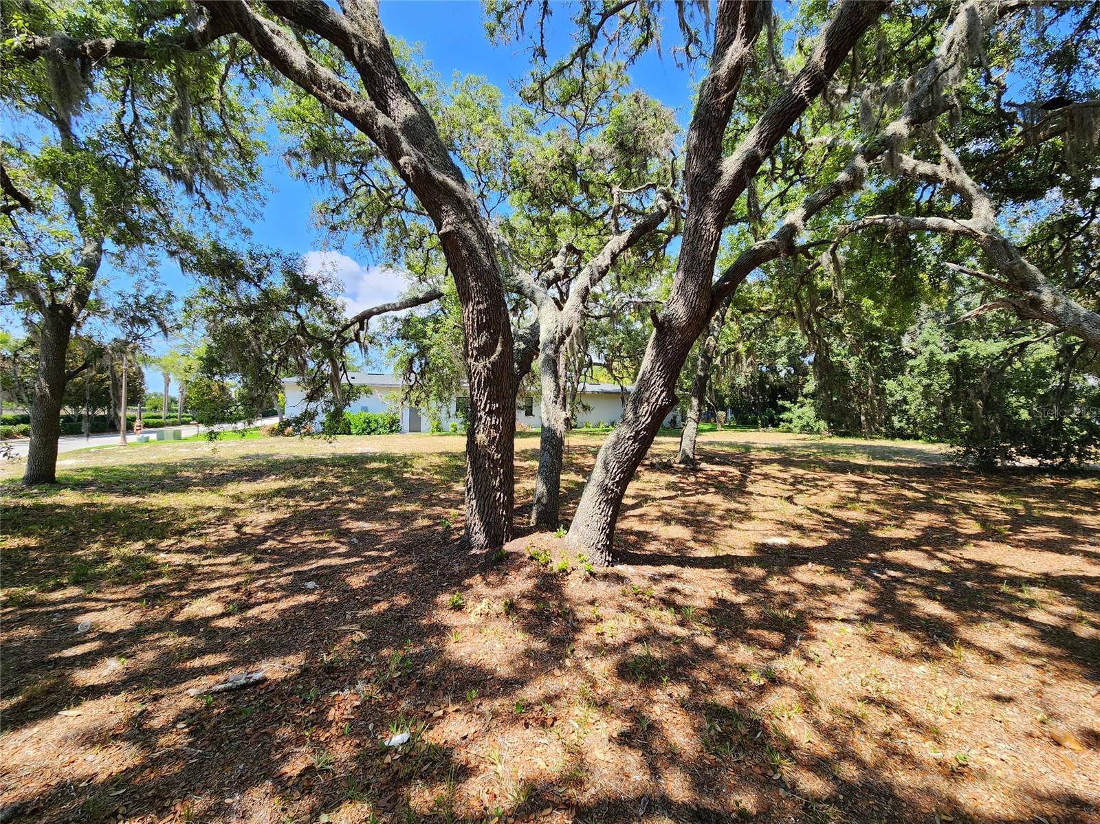 Listing photo id 7 for 1144 Bellamare Trail