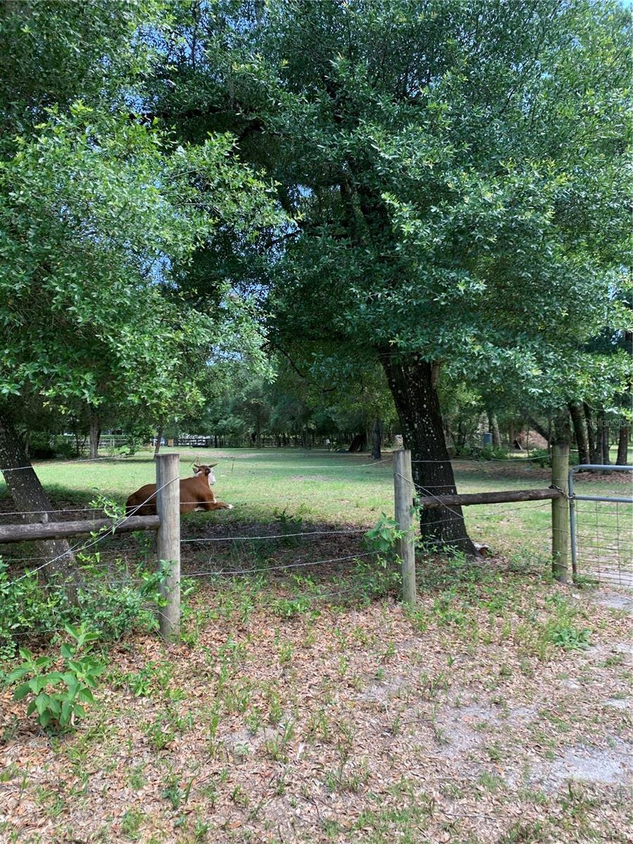 Image 9 of 11 For 8707 Franklin Road