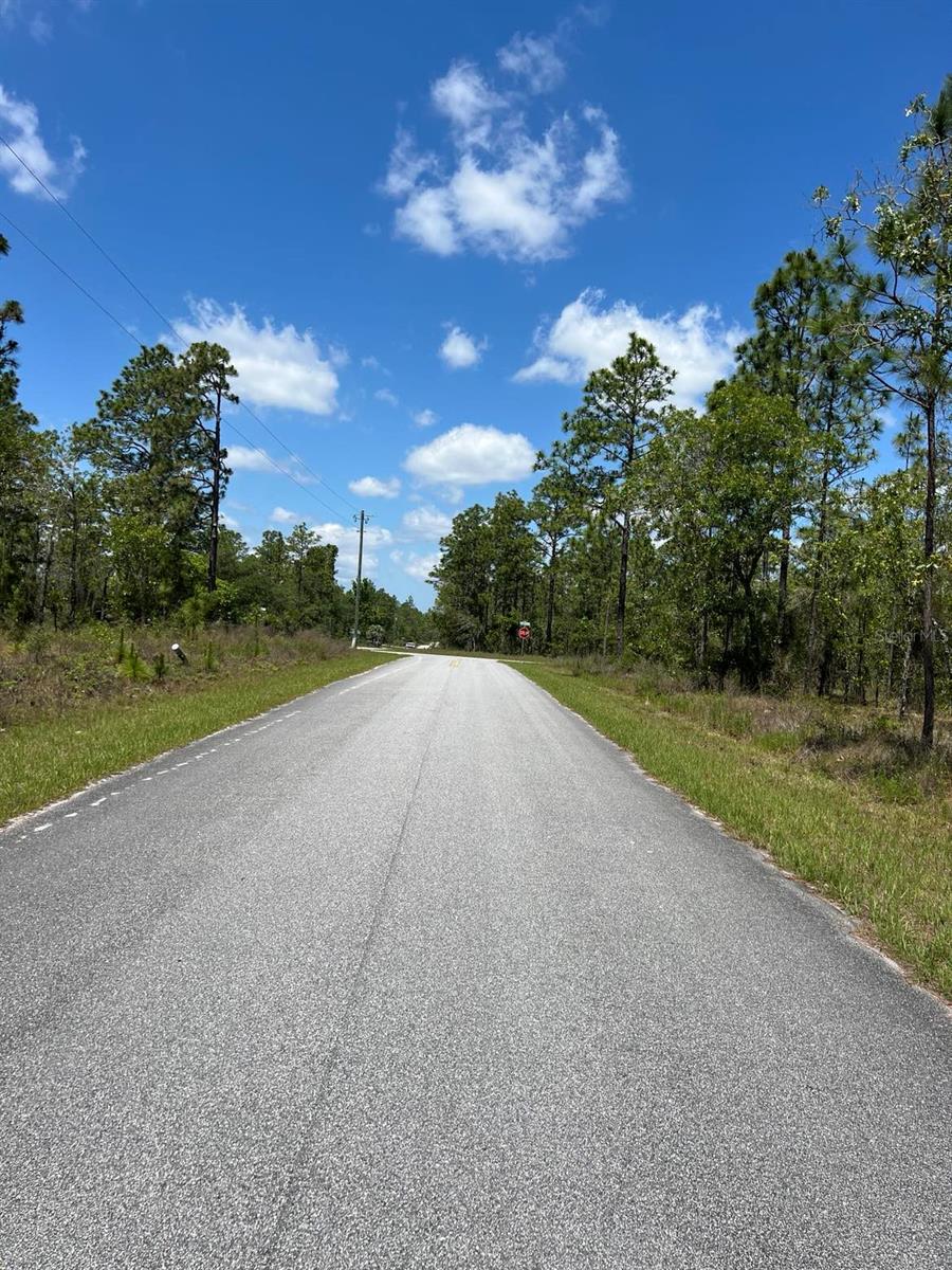 Image 2 of 10 For Amberjack Avenue Lot #33