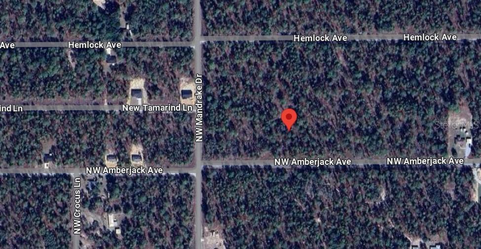 Image 8 of 10 For Amberjack Avenue Lot #33